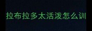 拉布拉多太活泼怎么训