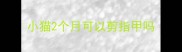 小猫2个月可以剪指甲吗