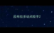 拉布拉多幼犬咬手
