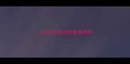一岁左右的边牧能领养吗