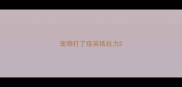 宠物打了疫苗抵抗力