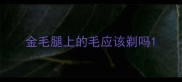 金毛腿上的毛应该剃吗