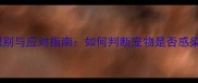 狗狗蠕形螨症状识别与应对指南如何判断宠物是否感染及专业治疗建议