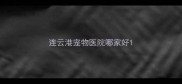 连云港宠物医院哪家好