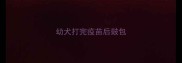 幼犬打完疫苗后鼓包