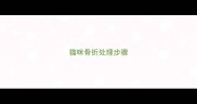 猫咪骨折处理步骤