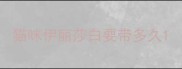 猫咪伊丽莎白要带多久