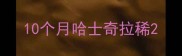 10个月哈士奇拉稀
