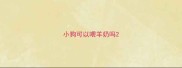 小狗可以喂羊奶吗