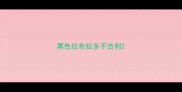 黑色拉布拉多不吉利