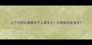 三个月的比熊相当于人类多大比熊幼犬发育全