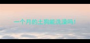 一个月的土狗能洗澡吗