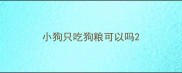 小狗只吃狗粮可以吗