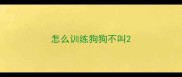 怎么训练狗狗不叫