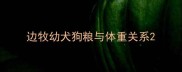 边牧幼犬狗粮与体重关系
