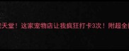文山萌宠天堂这家宠物店让我疯狂打卡3次附超全探店攻略
