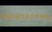 狗狗脂溢性皮炎传染吗