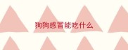 狗狗感冒能吃什么