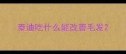 泰迪吃什么能改善毛发