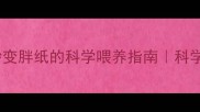 5个让主子秒变胖纸的科学喂养指南科学增肥不踩坑