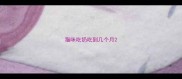 猫咪吃奶吃到几个月
