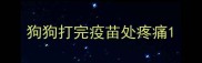 狗狗打完疫苗处疼痛