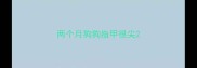 两个月狗狗指甲很尖