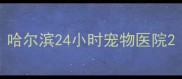 哈尔滨24小时宠物医院
