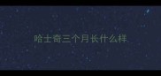 哈士奇三个月长什么样