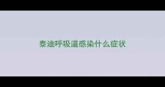 泰迪呼吸道感染什么症状