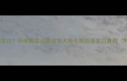 边牧换毛后脸变白科学解答边境牧羊犬换毛期脸蛋变白真相附护理指南