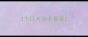 3个月大金毛重量