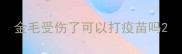 金毛受伤了可以打疫苗吗