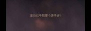 宠物烘干箱哪个牌子好