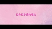 拉布拉多遗传眼红