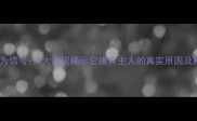 泰迪犬异常行为信号5大表现揭示它嫌弃主人的真实原因及科学训养方案
