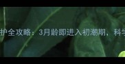 金毛犬发情期养护全攻略3月龄即进入初潮期科学应对避免困扰