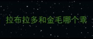 拉布拉多和金毛哪个乖