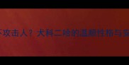 哈士奇为何不攻击人犬科二哈的温顺性格与安全饲养指南