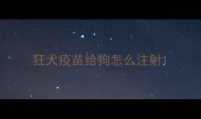 狂犬疫苗给狗怎么注射