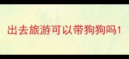 出去旅游可以带狗狗吗