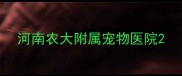 河南农大附属宠物医院