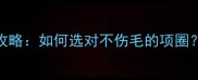拉布拉多项圈选购全攻略如何选对不伤毛的项圈附6款实测好物推荐