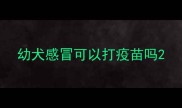 幼犬感冒可以打疫苗吗