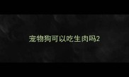 宠物狗可以吃生肉吗