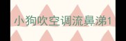 小狗吹空调流鼻涕