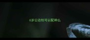 6岁公边牧可以配种么
