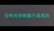 拉布拉多眼睛不是黑的