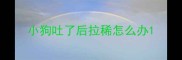 小狗吐了后拉稀怎么办