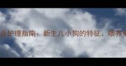 刚出生的小狗图片及护理指南新生儿小狗的特征喂养要点与疾病预防全